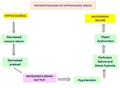 Shock Pathophysiology 的图像结果