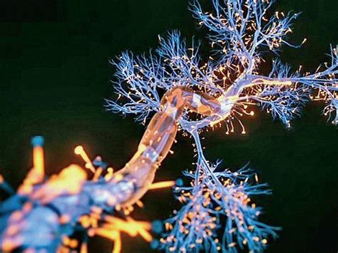 Depression drugs are impairing people's memory, increasing the risk of ...