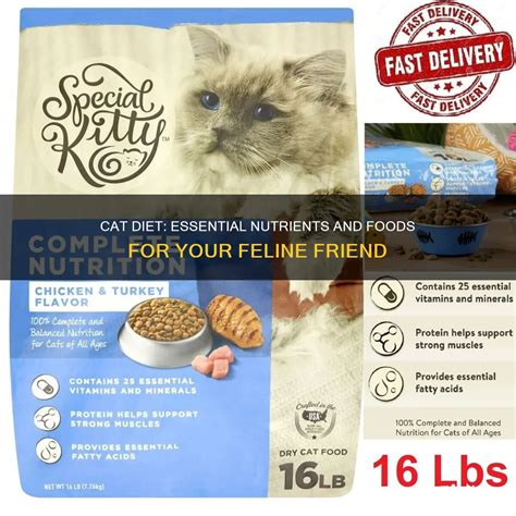 Cat Diet: Essential Nutrients And Foods For Your Feline Friend | ShunKeto