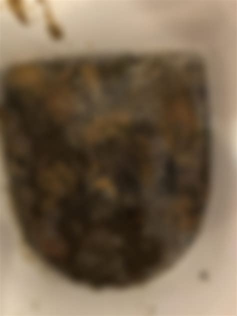 Exploding Poop Human 的图像结果