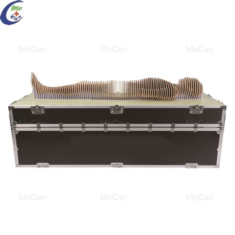 Virtual Dissection Table 的图像结果