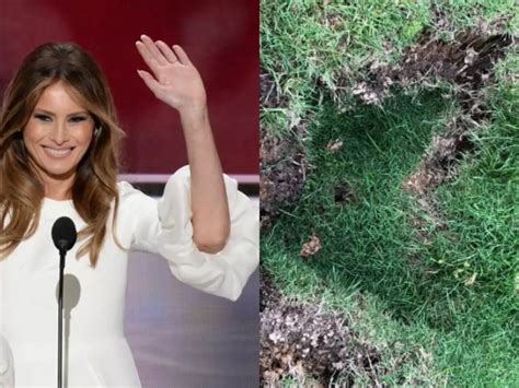 People Think The Sinkhole On White House Lawn Is Melania Trump's Escape ...