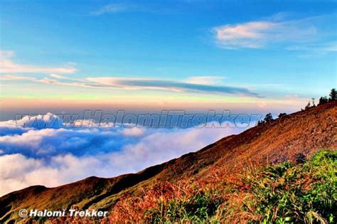 HaLoMi Trekker (Senaru) - All You Need to Know BEFORE You Go