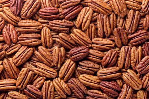 11 Varieties and Types of Nuts | Epicurious