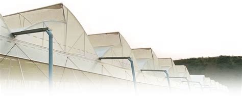 Naturally Ventilated Polyhouse (NVPH) | Cost, Design & Benefits | Agriplast