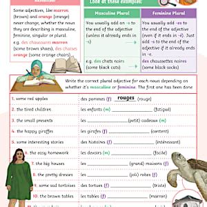 👉 French: Adjectives Activity Sheet