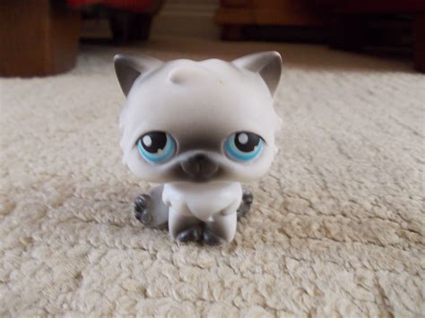 Littlest Pet Shop Cat Names at Nicolette Boyles blog
