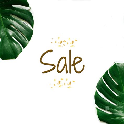 SHOP NOW – Studio Nexx