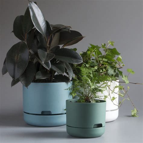 Mr Kitly x Decor Selfwatering Plant Pot 250mm | Lightweight planter ...