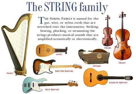 Musical Instrument 的图像结果