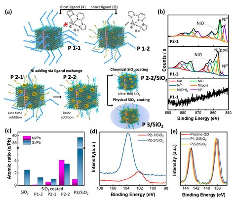 Reducing the Photodegradation of Perovskite Quantum Dots to Enhance ...