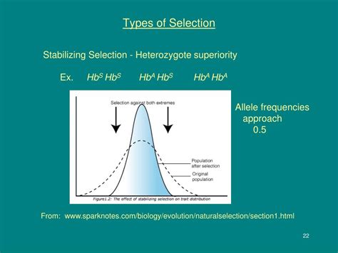 Image result for Population Genetics Basics