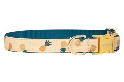 Crew LaLa Happy Pineapples Dog Collar