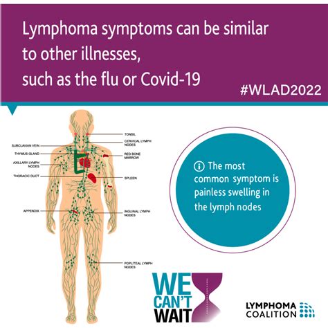 Non-Hodgkin's Lymphoma - CANSA - The Cancer Association of South Africa | CANSA – The Cancer ...