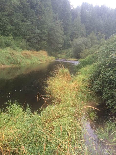 Property For Sale On Millicoma River - Property For Sale - Eugene ...