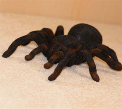 Remote Control Tarantula 的图像结果