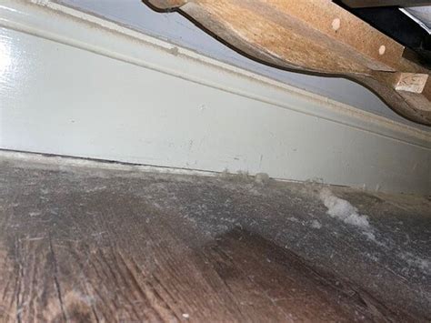 THE DARK HORSE BRISTOL PUB - Specialty Inn Reviews, Photos, Rate ...