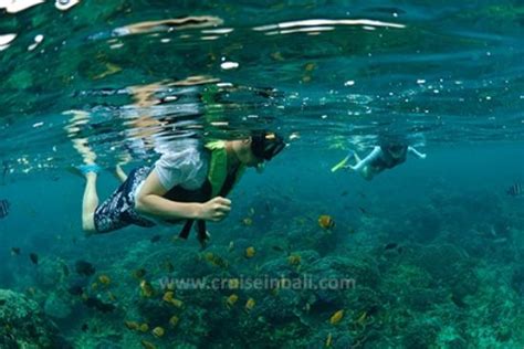 Cruise in Bali - Day Cruise (Denpasar) - 2022 What to Know Before You ...