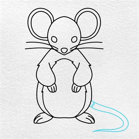 Learn To Draw A Mouse