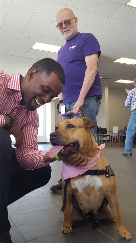 Animal Protective Foundation | Capitaland Subaru serving Glenville, NY