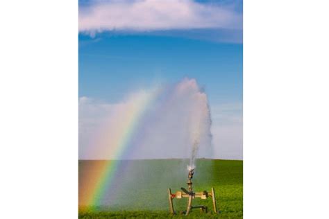 16 Milliarden Euro: Mafia hat Landwirtschaft im Griff | agrarheute.com