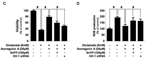 Acerogenin A from Acer nikoense Maxim Prevents Oxidative Stress-Induced ...
