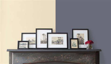 Color Theory 101 – The Marsupial Store