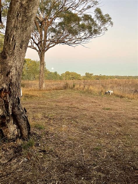 CADAGI FARM DUBBO - Campground Reviews & Photos - Tripadvisor