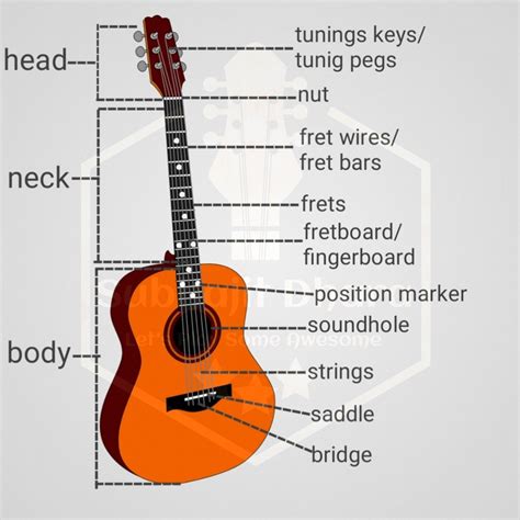 Anatomy of a Guitar - parts of a guitar