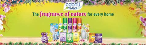 Odonil Gel Room Freshener 75g Lemon Grass : Amazon.in: Home & Kitchen