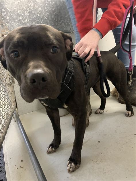 Wanderers' Rest Humane Assoc (@wanderersrest) • Instagram photos and videos