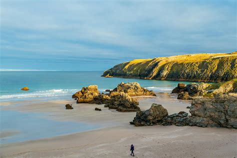 Image result for Azure Data Studio Tutorials for Mac