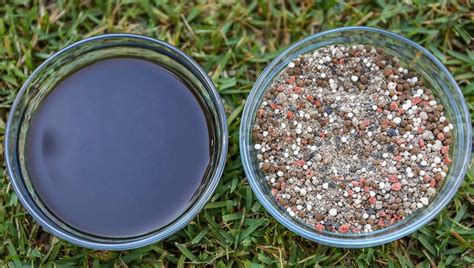 5 Best Organic Lawn Fertilizers Reviewed in Detail (Summer 2025)