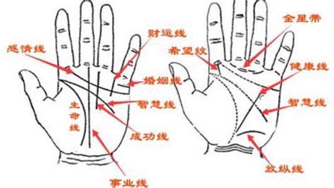 簡析手掌的八卦宮位圖 - 每日頭條