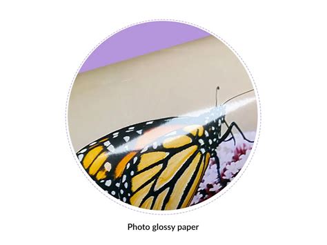 Bulk Photo Printing - Order Custom Photo Prints in Bulk Online - Printo.in