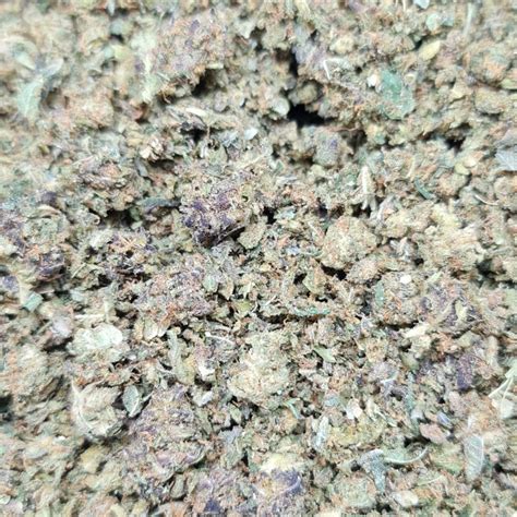 Buy PREMIUM SHAKE $200/POUND $120/HALF POUND | Weed On A Budget