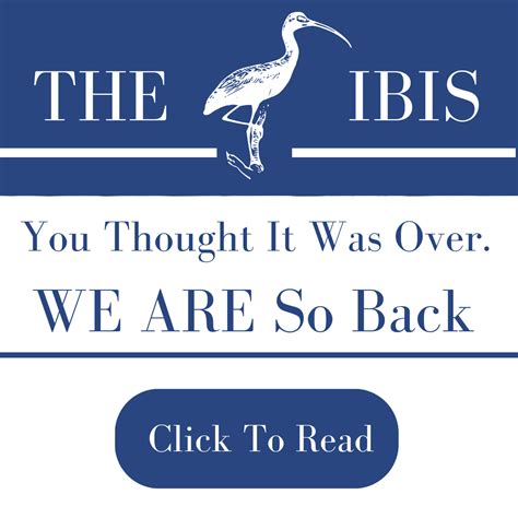 We Are: So Back – We Are