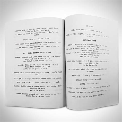 Image result for The Labyrinth Script Pastebin