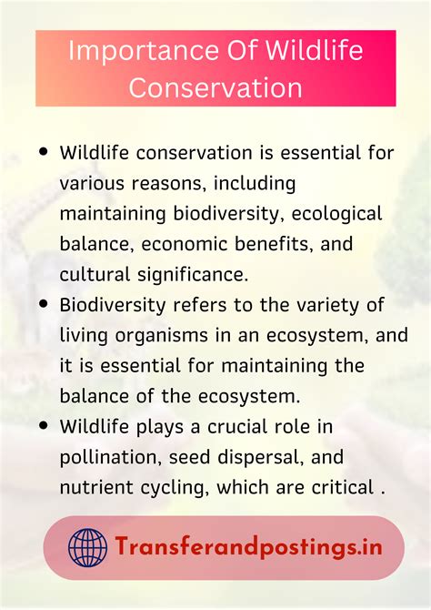 Paragraph On Wild Life: Exploring The Importance And Diversity Of Wild Animals - Transfer and ...