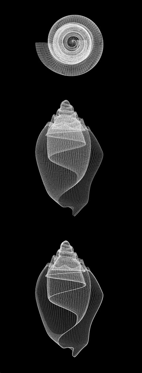 Image result for Free CAD Shell Analysis