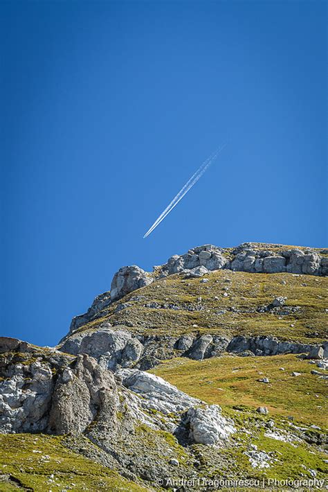 Image result for Clean Particulate Filter