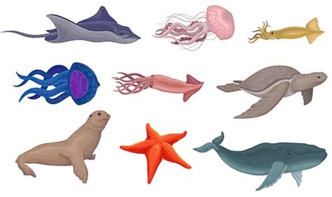 Animal Life Class 5 Notes Science Free PDF