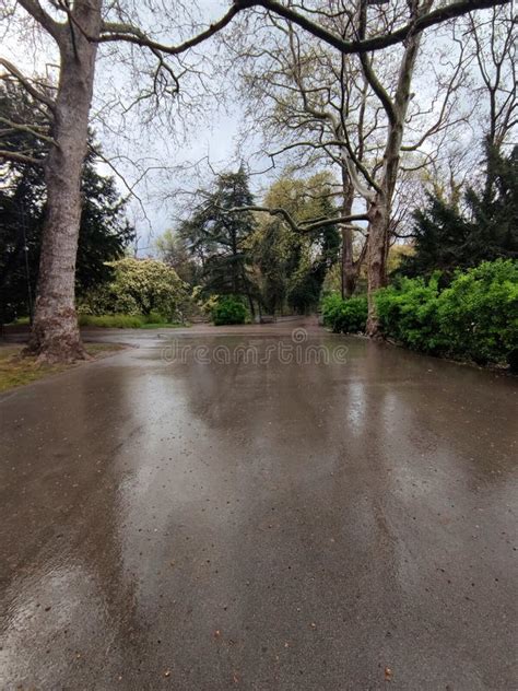 Image result for Spring Not Empty