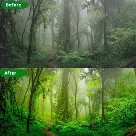 20 Nature Lightroom Presets | Landscape Instagram Filters - Eyegusto ...