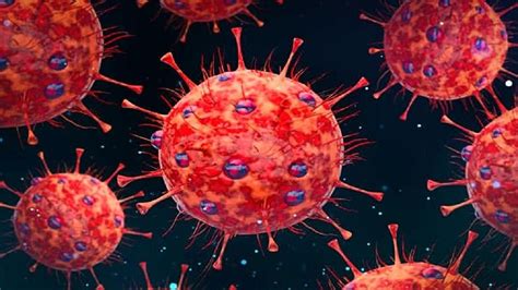 XBB की एक सबलीनेज है XBB.1.5 वैरिएंट, इम्युनिटी को आसानी दे देता है मात ...