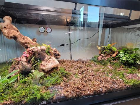 Work in progress pics of my first large carnivorous plant terrarium (40 ...