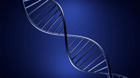 Image result for DNA Structure Animation