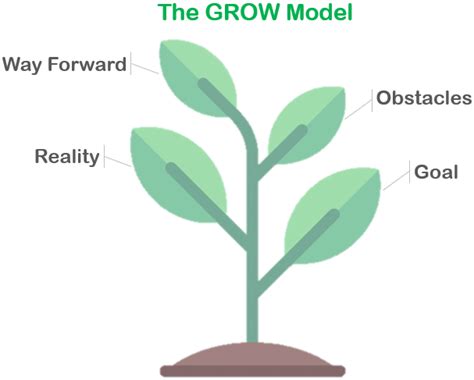 Image result for Grow Problem Solving Method