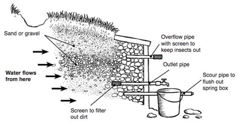 Image result for Setting Up a Water Spring Box