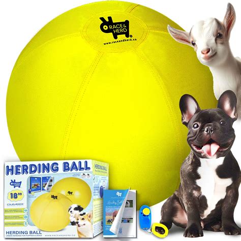 Race&Herd Herding Ball for Dogs (18" S Herding Ball Set) Herding Ball ...